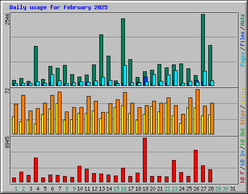 Daily usage for February 2025