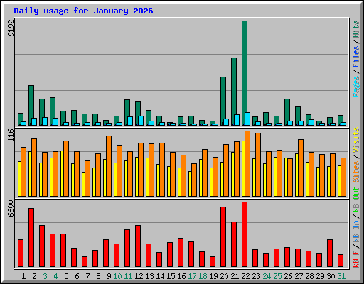 Daily usage for January 2026