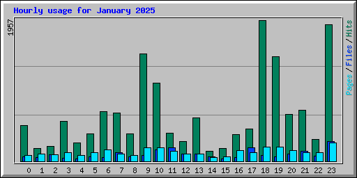 Hourly usage for January 2025