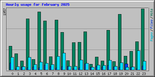 Hourly usage for February 2025