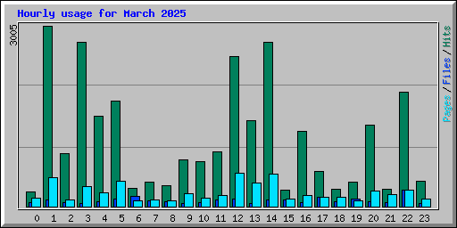 Hourly usage for March 2025