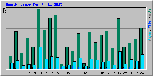 Hourly usage for April 2025