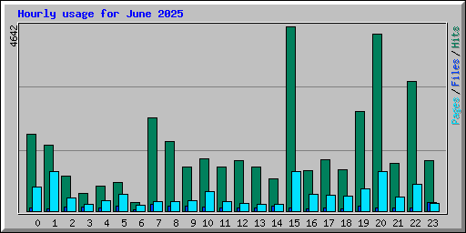 Hourly usage for June 2025