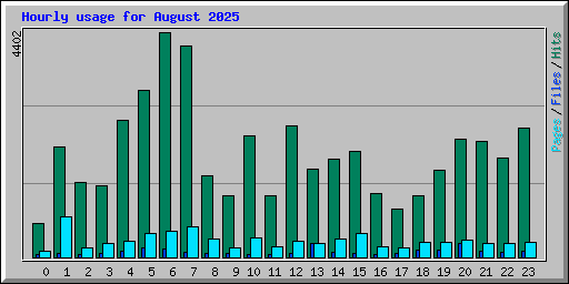 Hourly usage for August 2025
