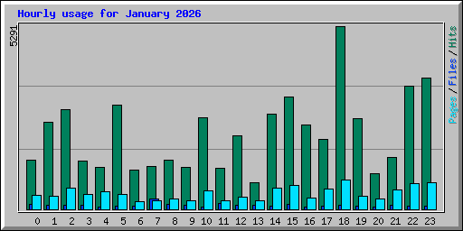 Hourly usage for January 2026