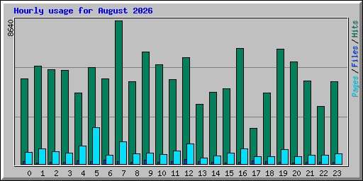 Hourly usage for August 2026